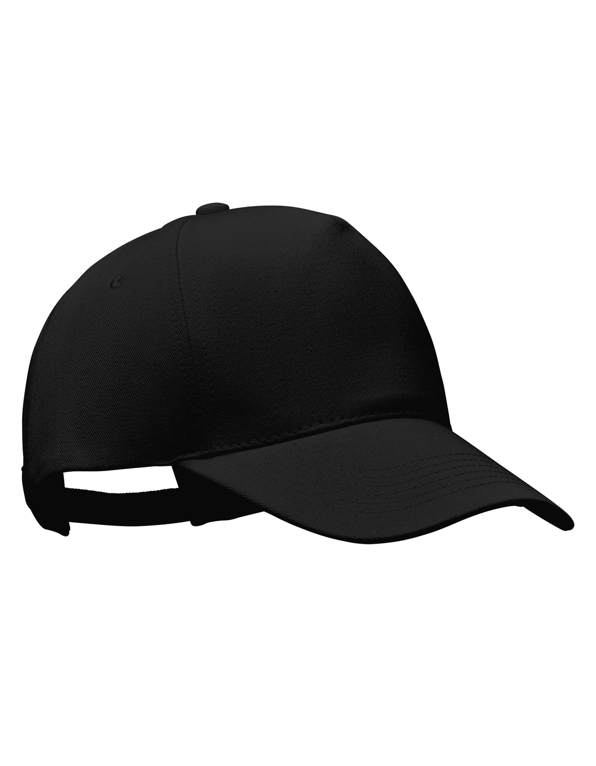5-Panel Pet Seoul