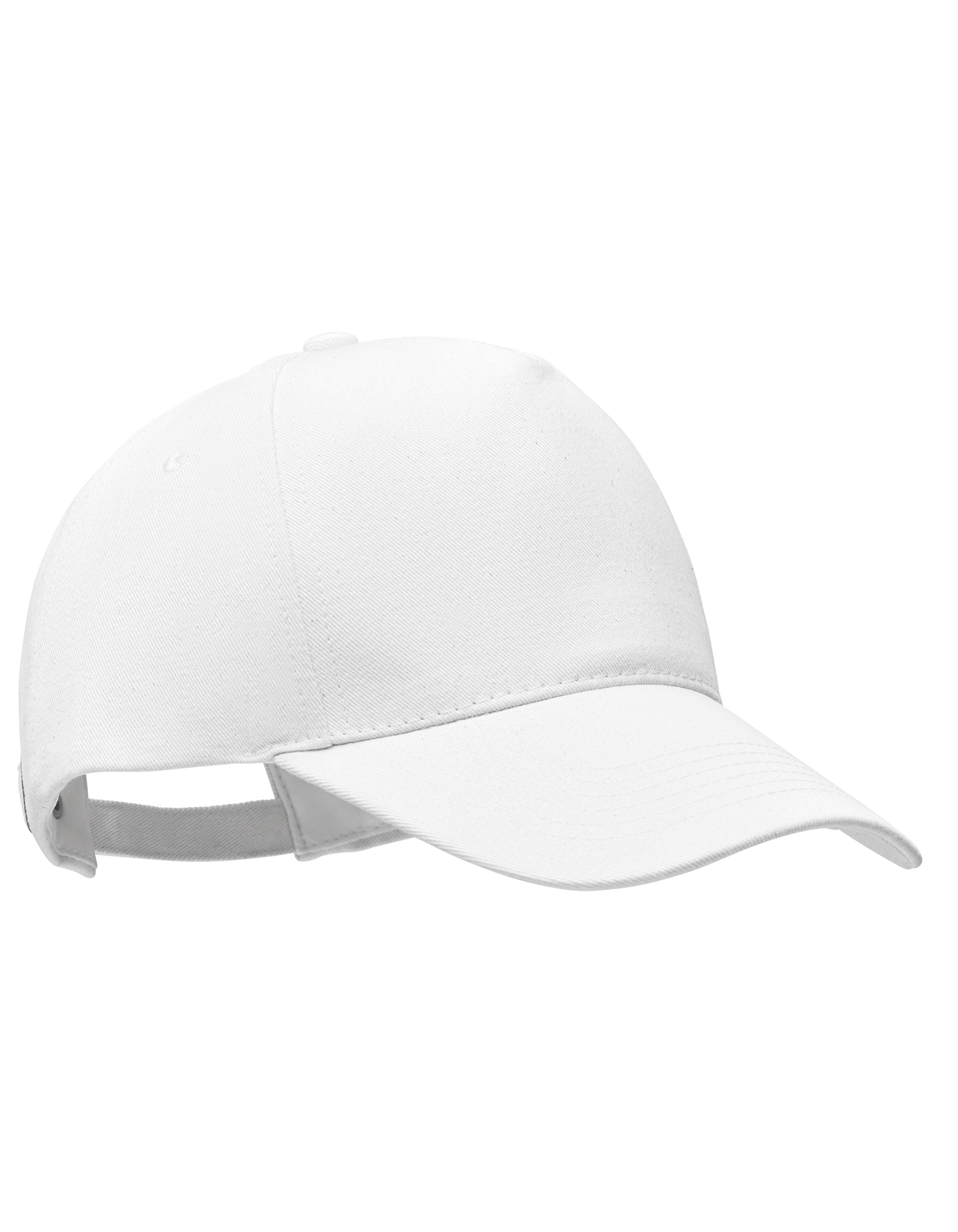5-Panel Pet Seoul