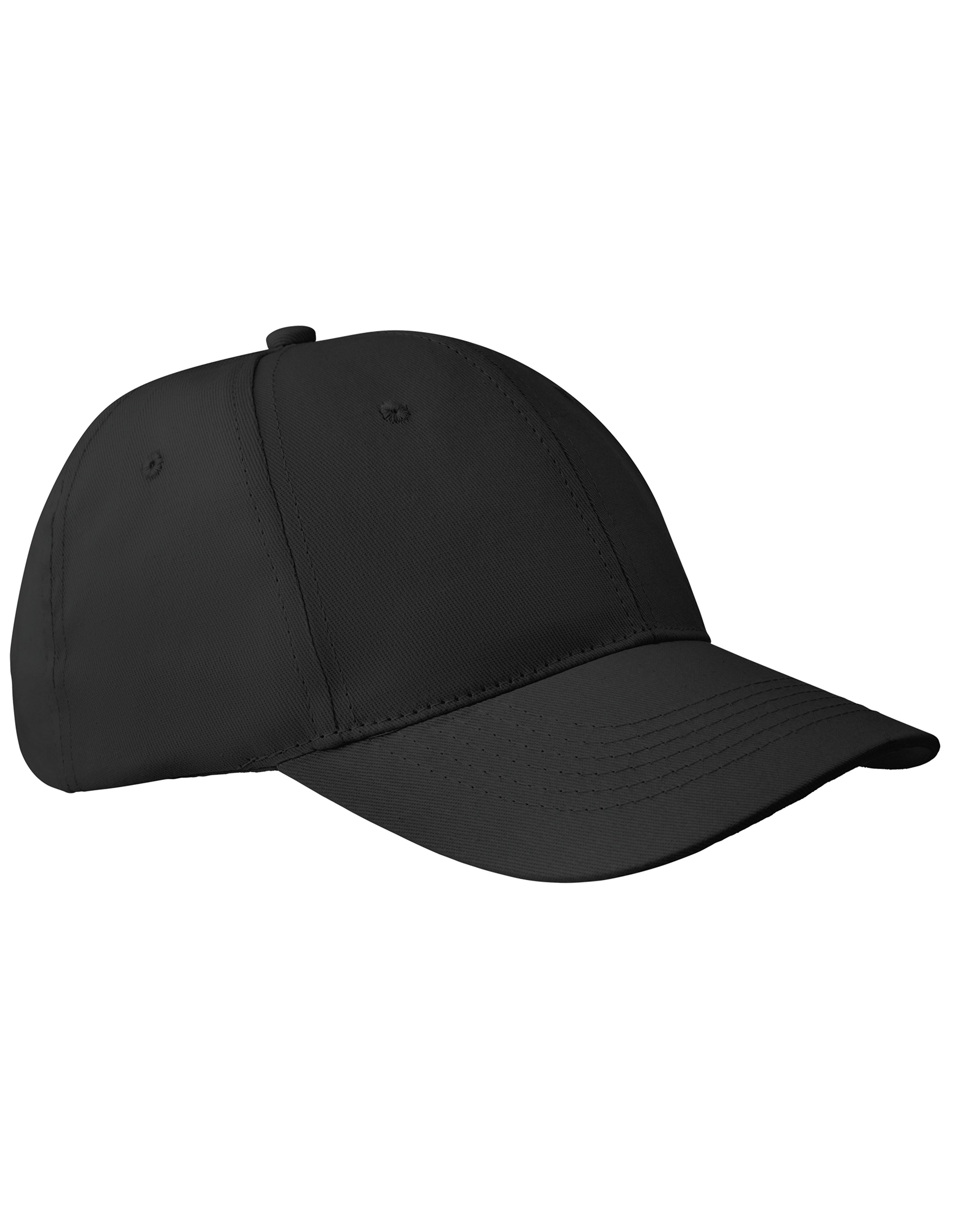 6-Panel Pet Apollo
