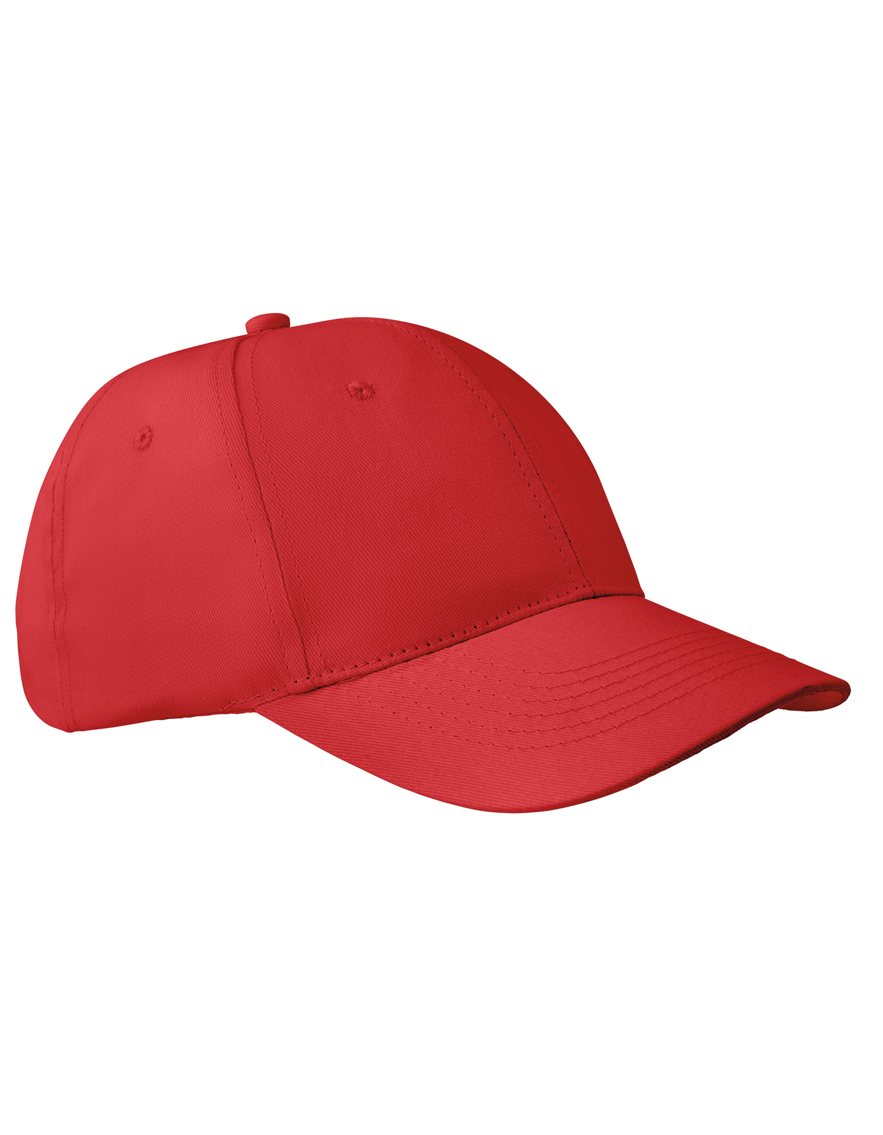 6-Panel Pet Apollo