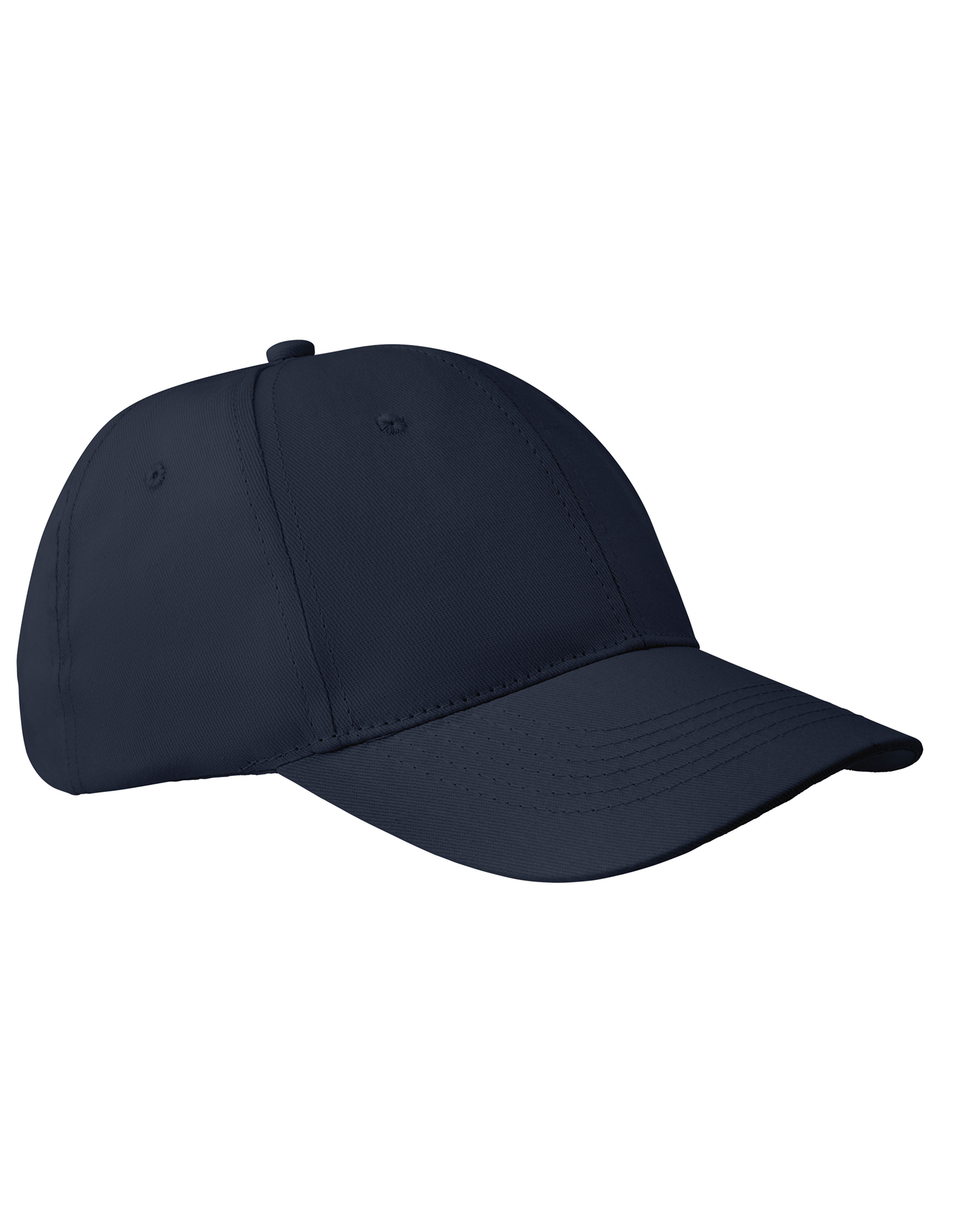 6-Panel Pet Apollo