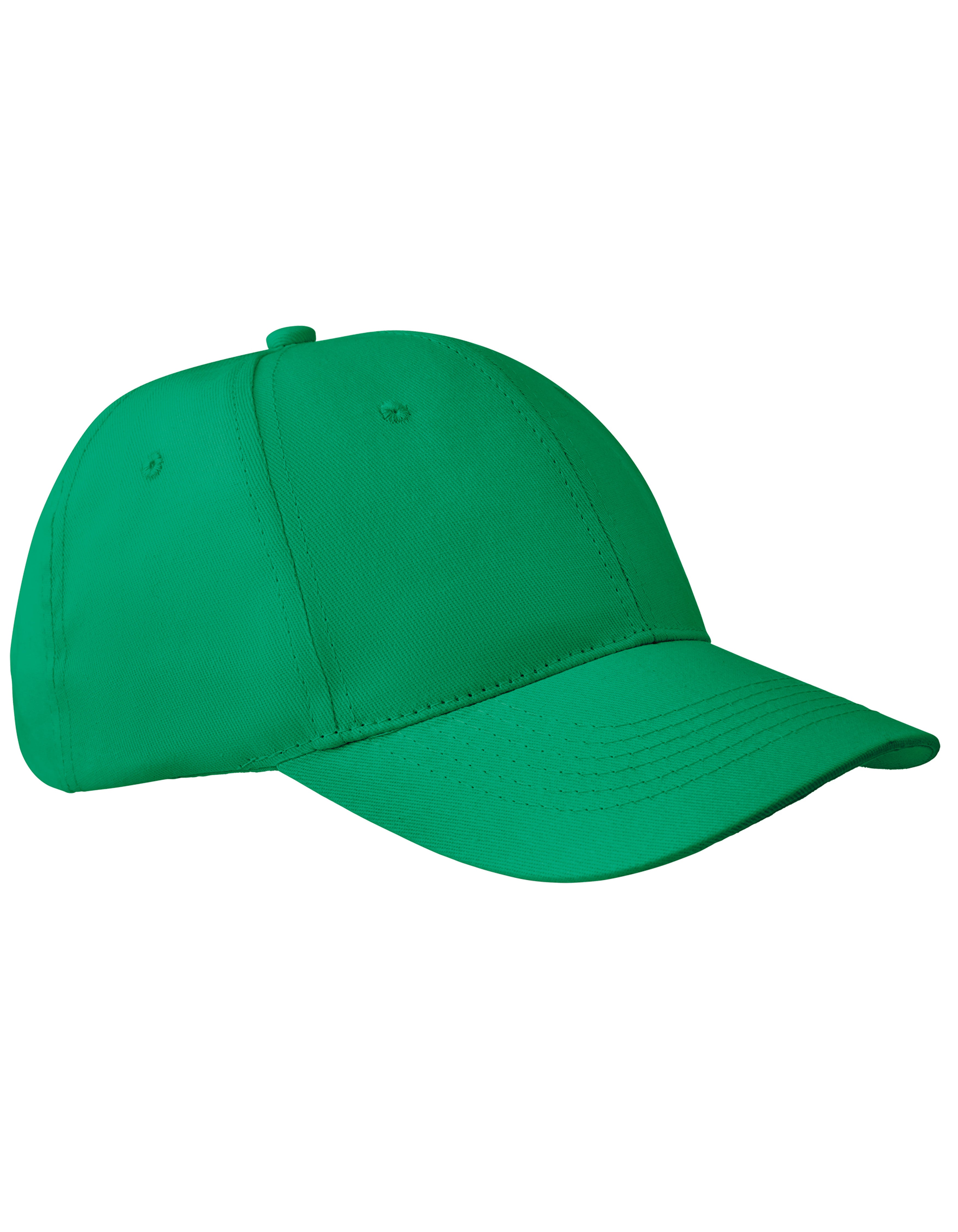 6-Panel Pet Apollo