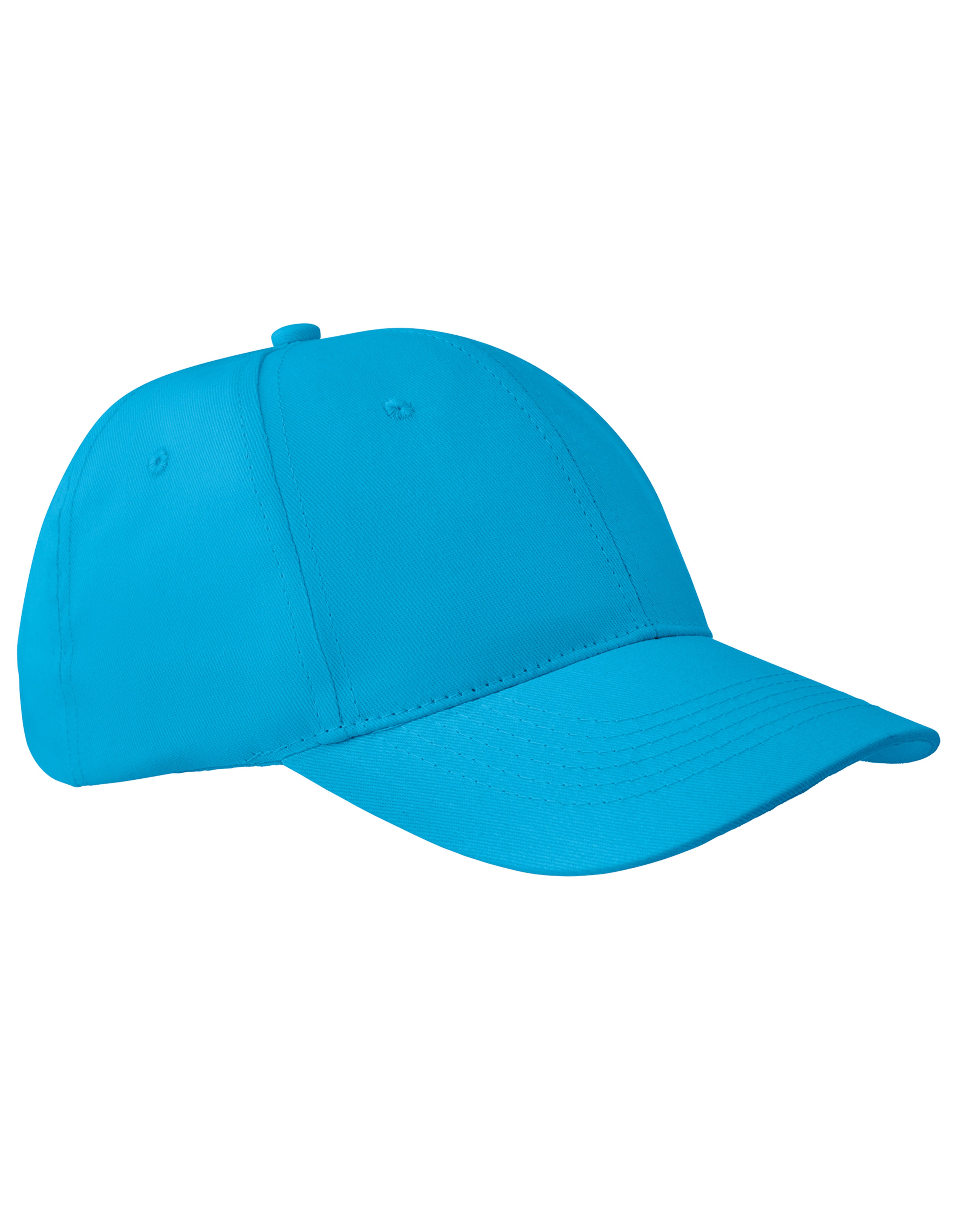 6-Panel Pet Apollo