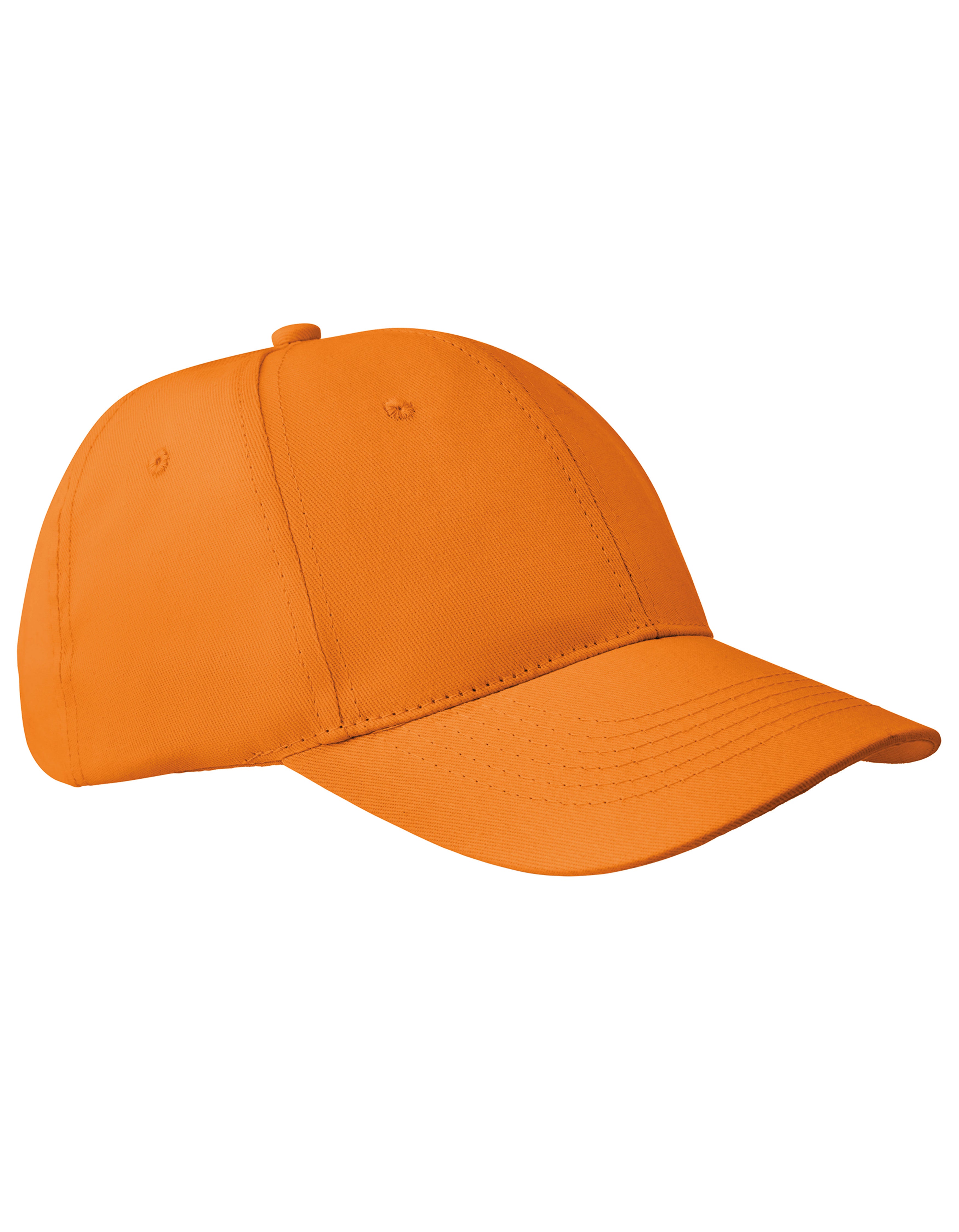 6-Panel Pet Apollo