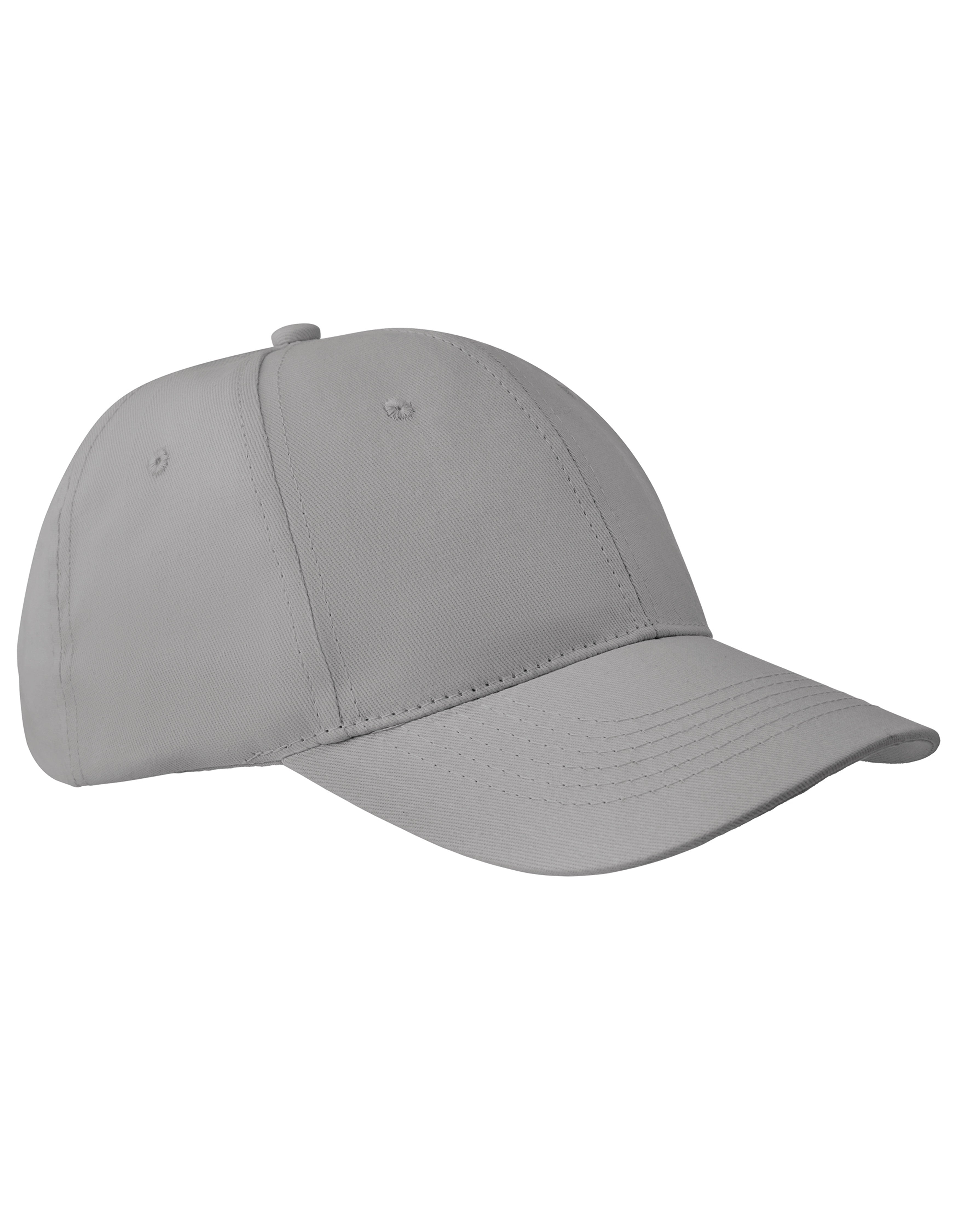 6-Panel Pet Apollo