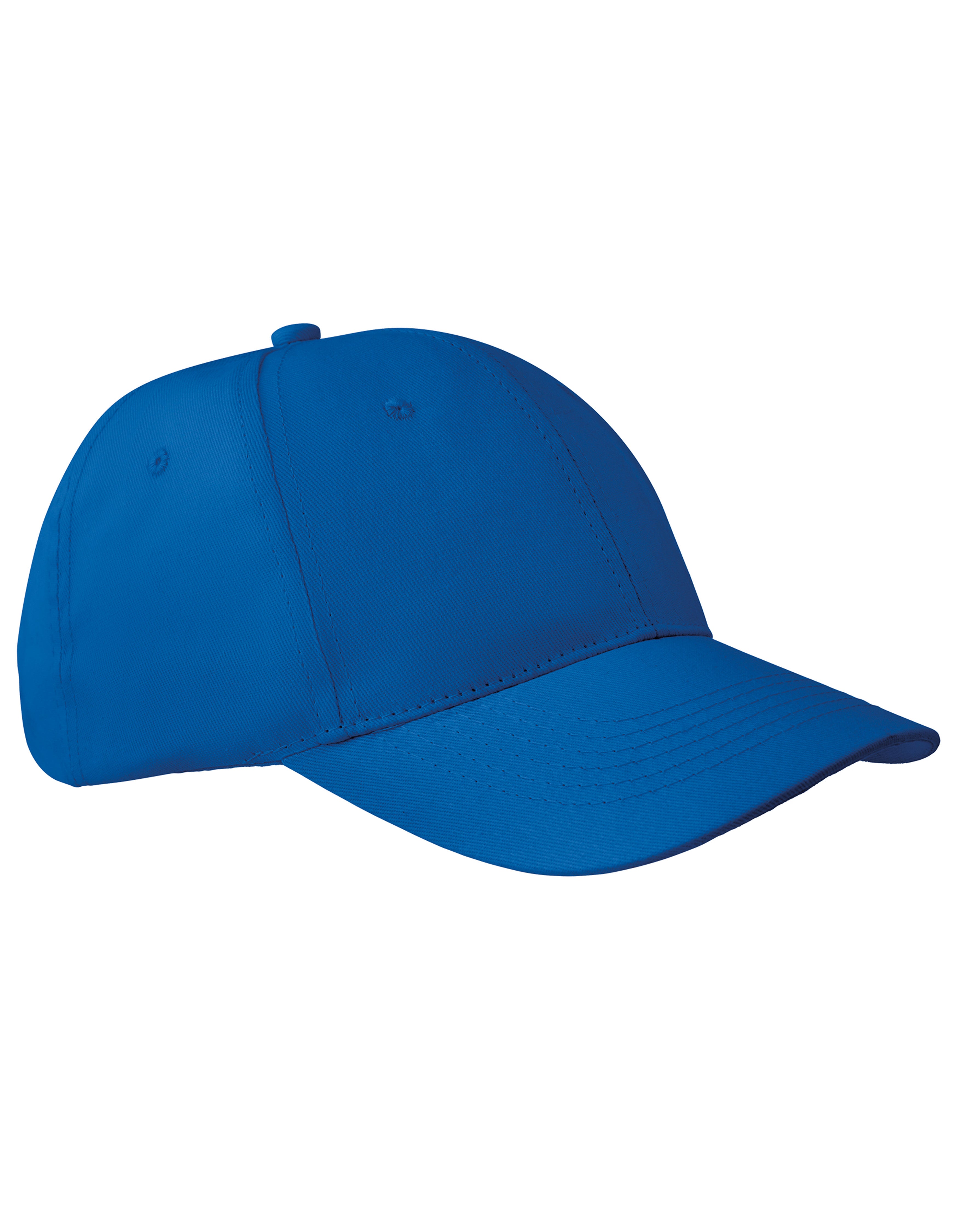 6-Panel Pet Apollo