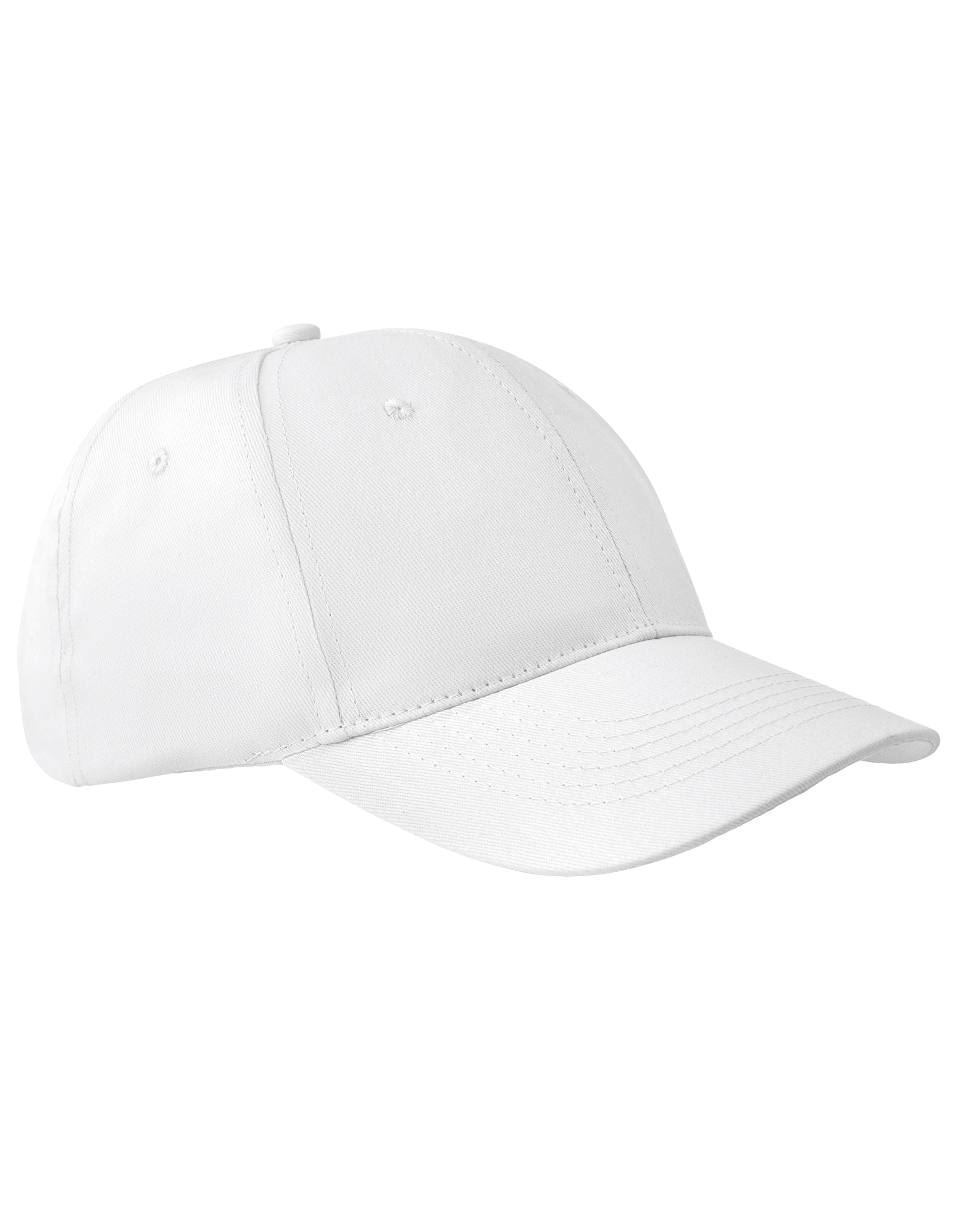 6-Panel Pet Apollo