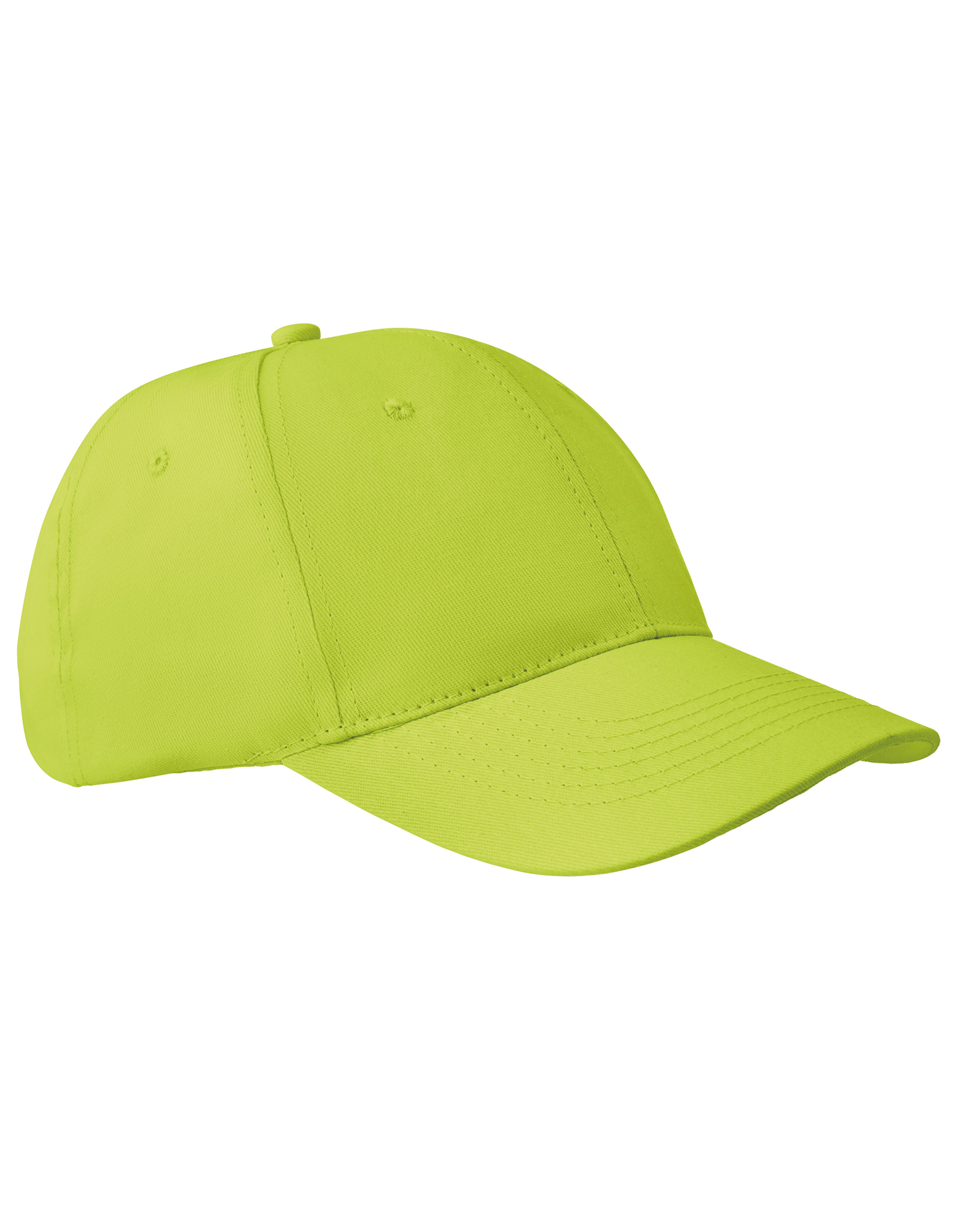 6-Panel Pet Apollo