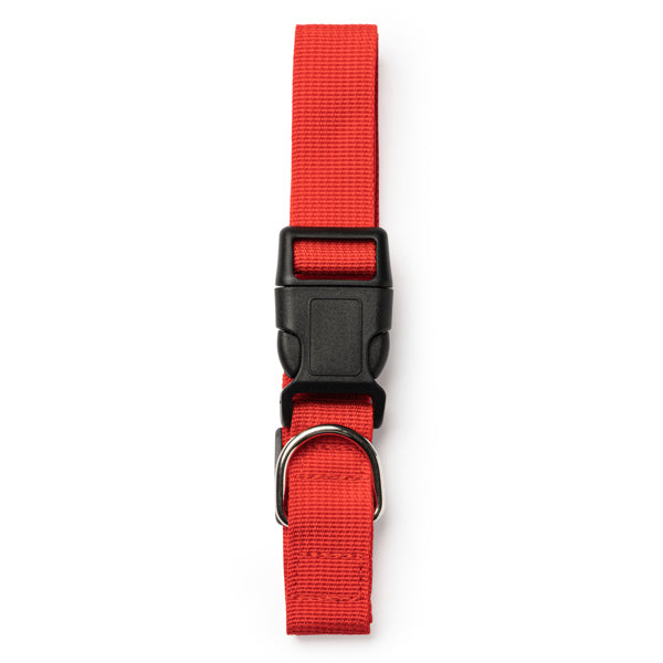 Stamina An1021 - ROOD