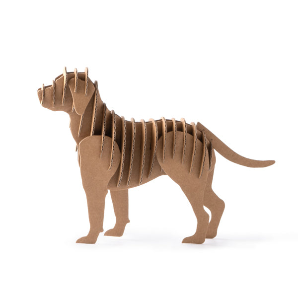 Stamina Fisac - PERRO