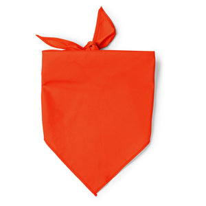 Stamina Jarana - ROOD