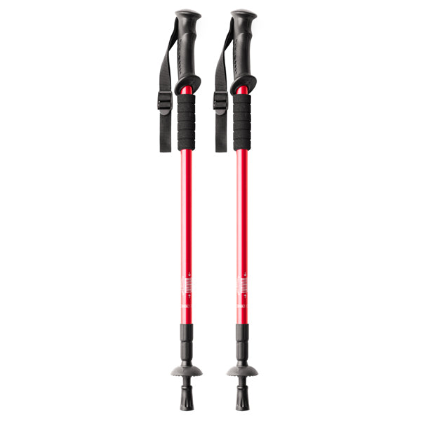 Stamina Cp7095 - ROOD