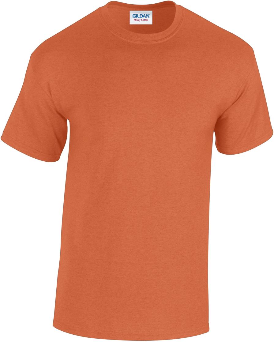 Zwaar Katoenen Klassiek Pasvorm Volwassen T-shirt