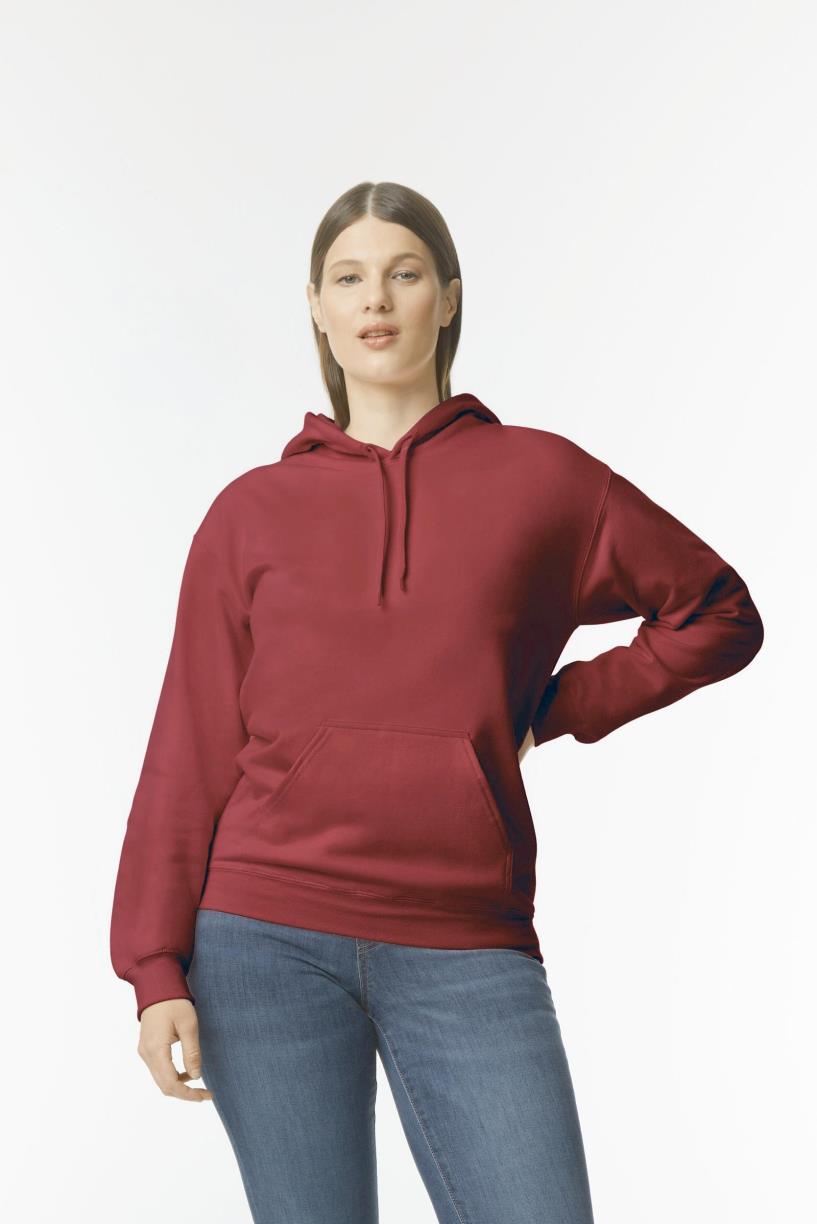 Hoodie Midweight Softstyle