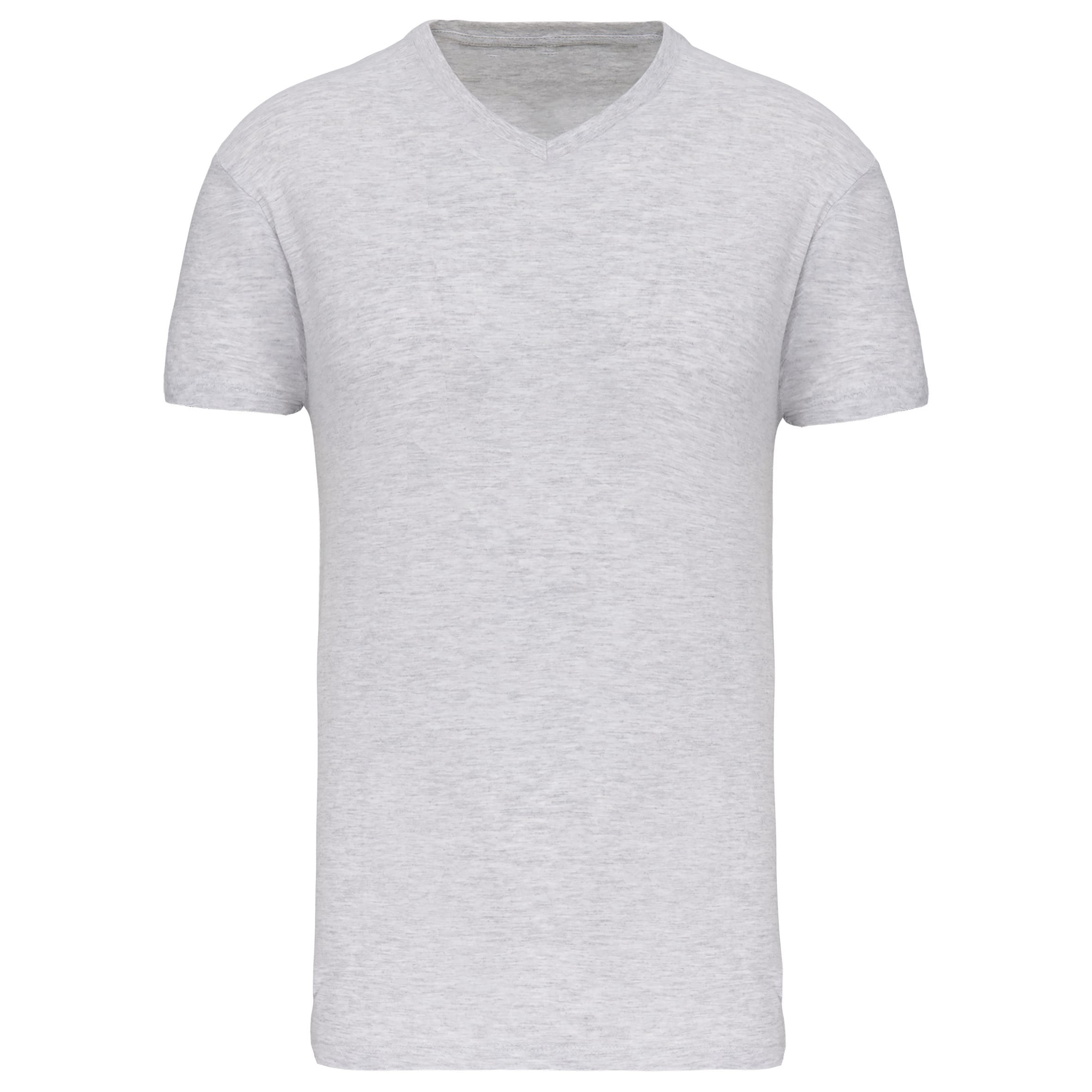 Heren-t-shirt BIO150 IC V-hals