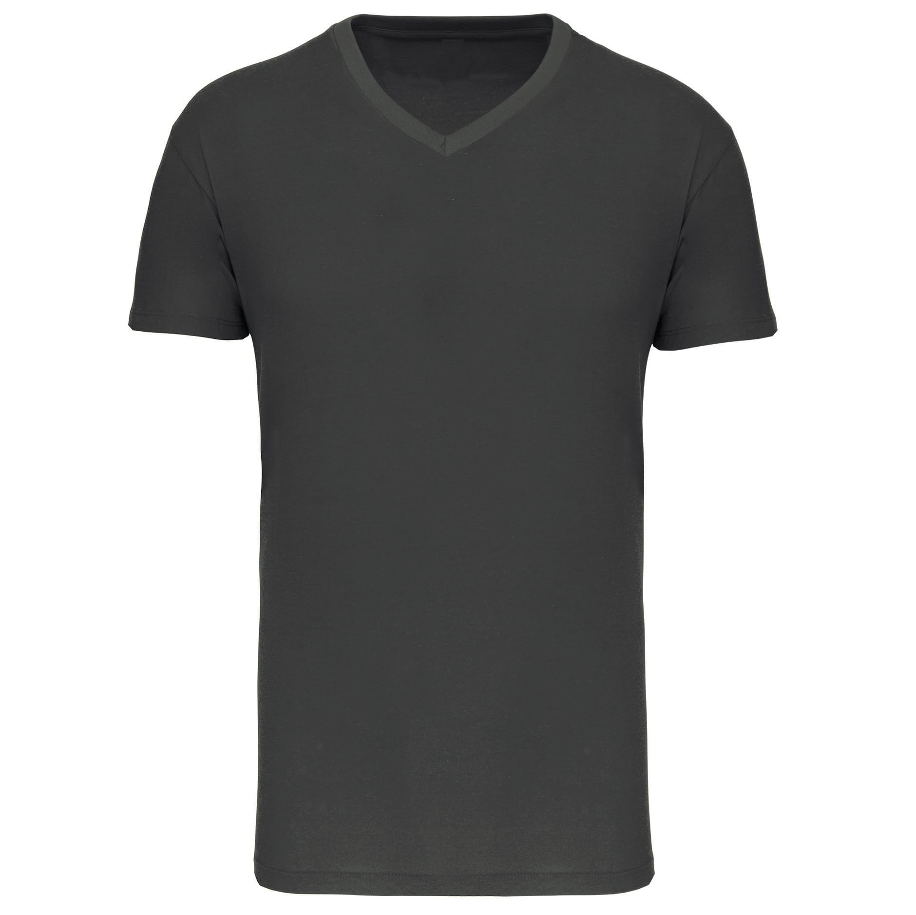 Heren-t-shirt BIO150 IC V-hals