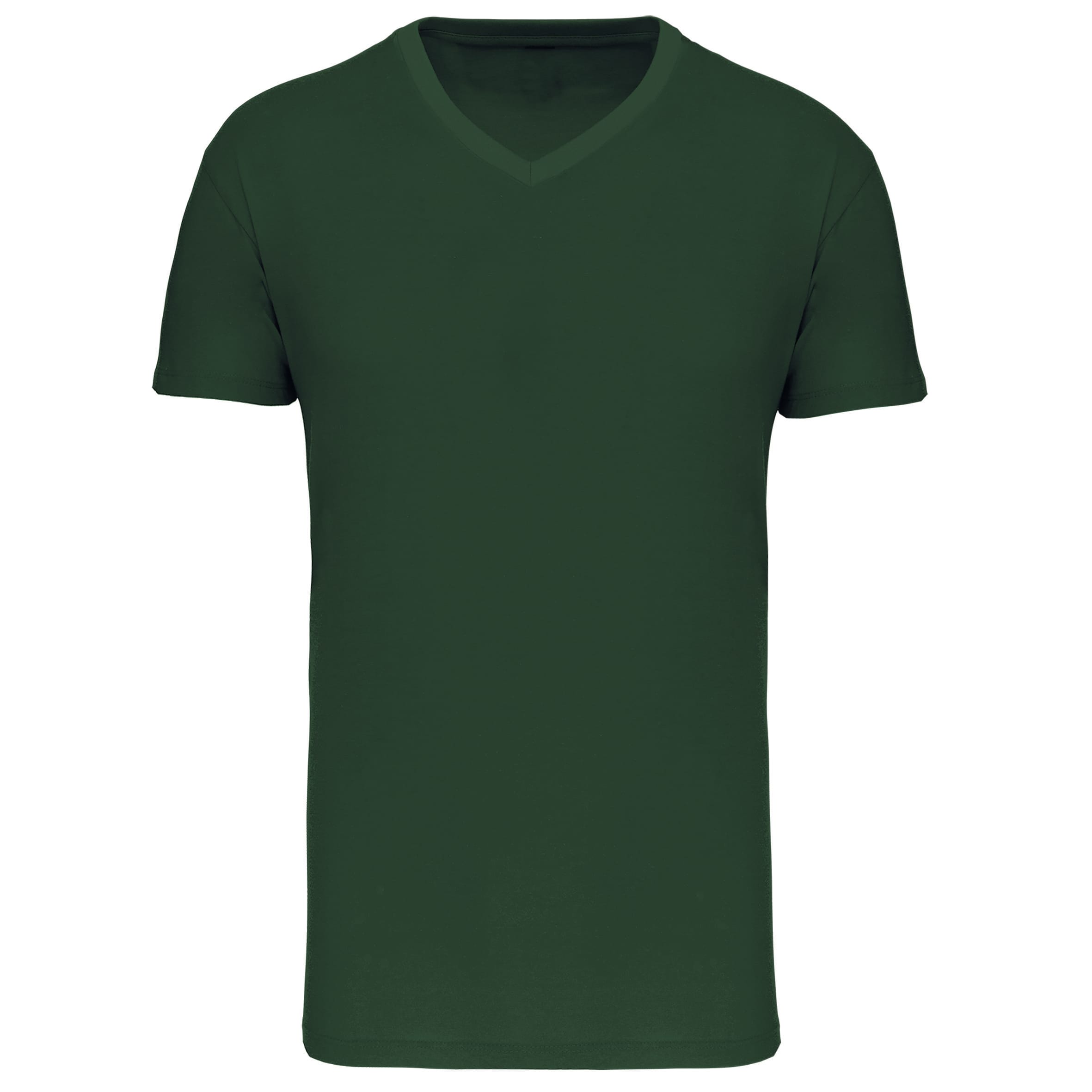 Heren-t-shirt BIO150 IC V-hals