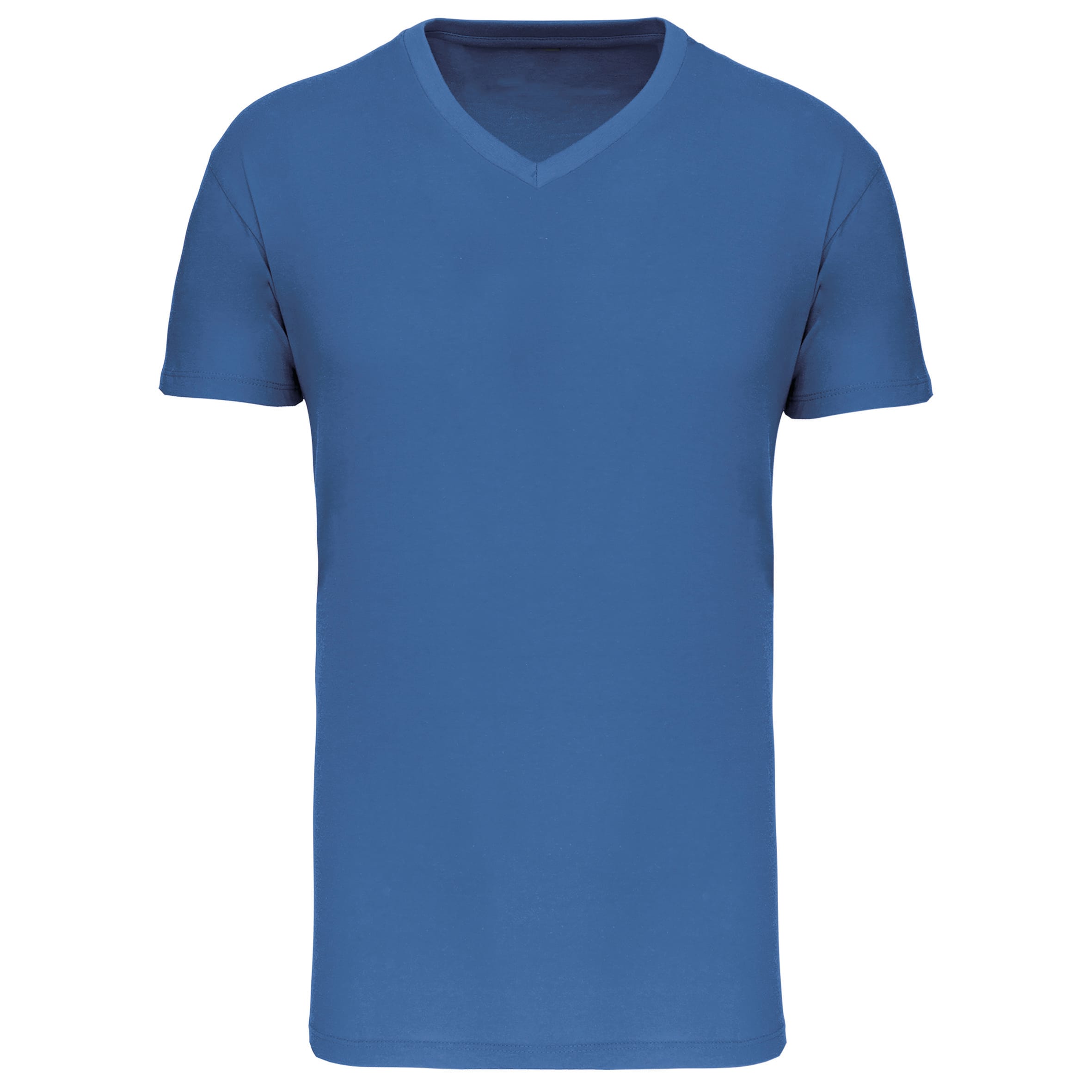 Heren-t-shirt BIO150 IC V-hals