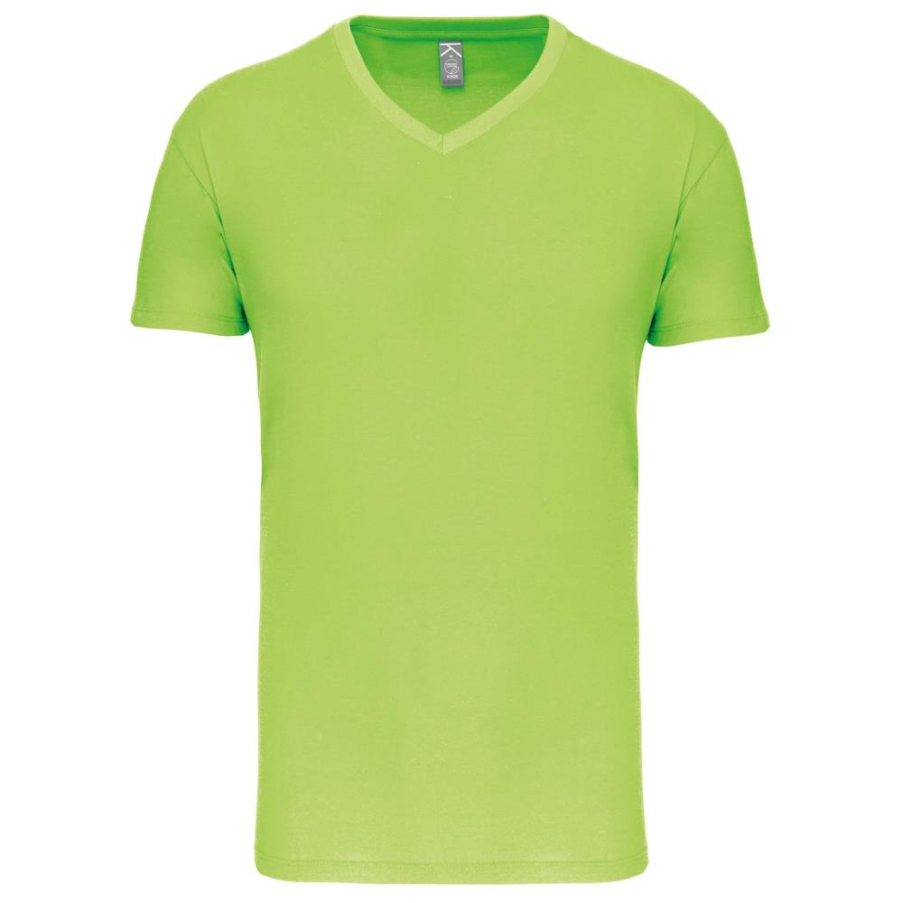 Heren-t-shirt BIO150 IC V-hals