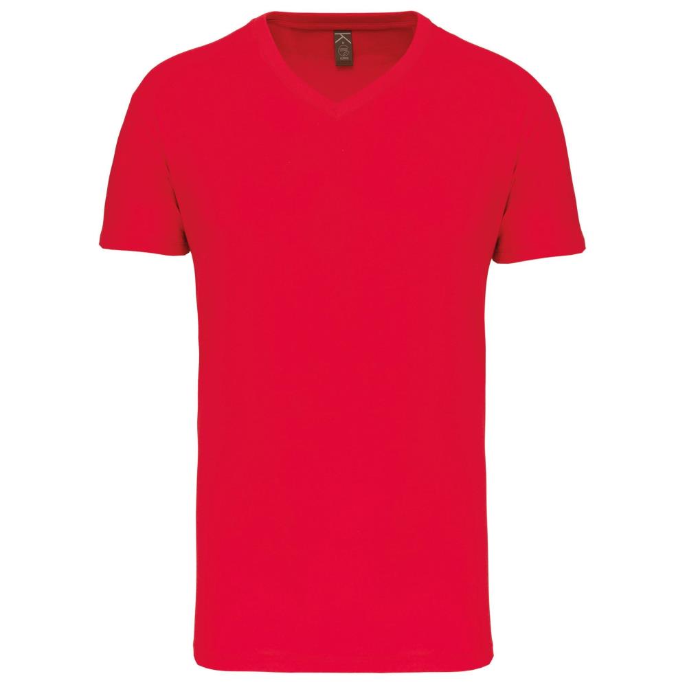 Heren-t-shirt BIO150 IC V-hals