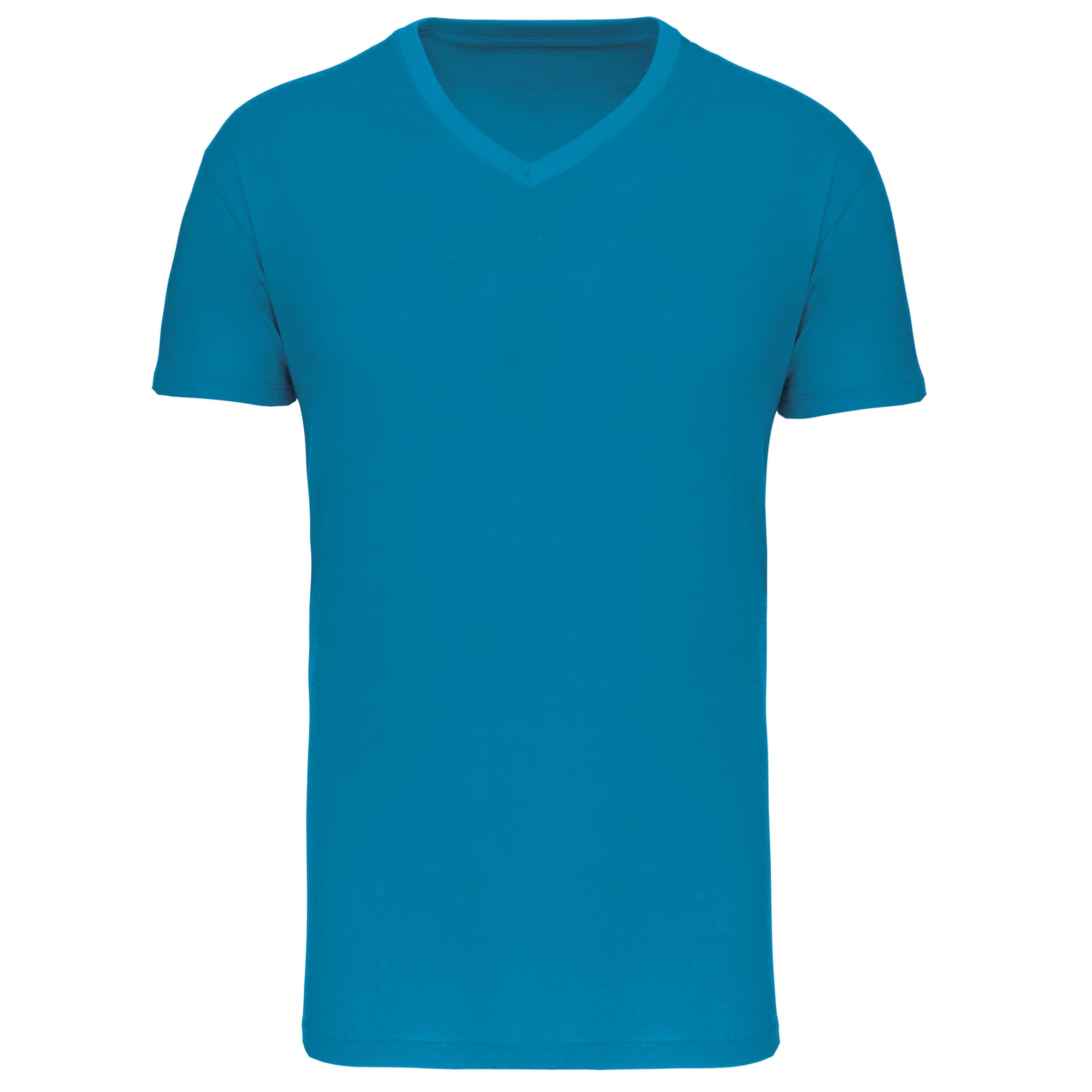 Heren-t-shirt BIO150 IC V-hals