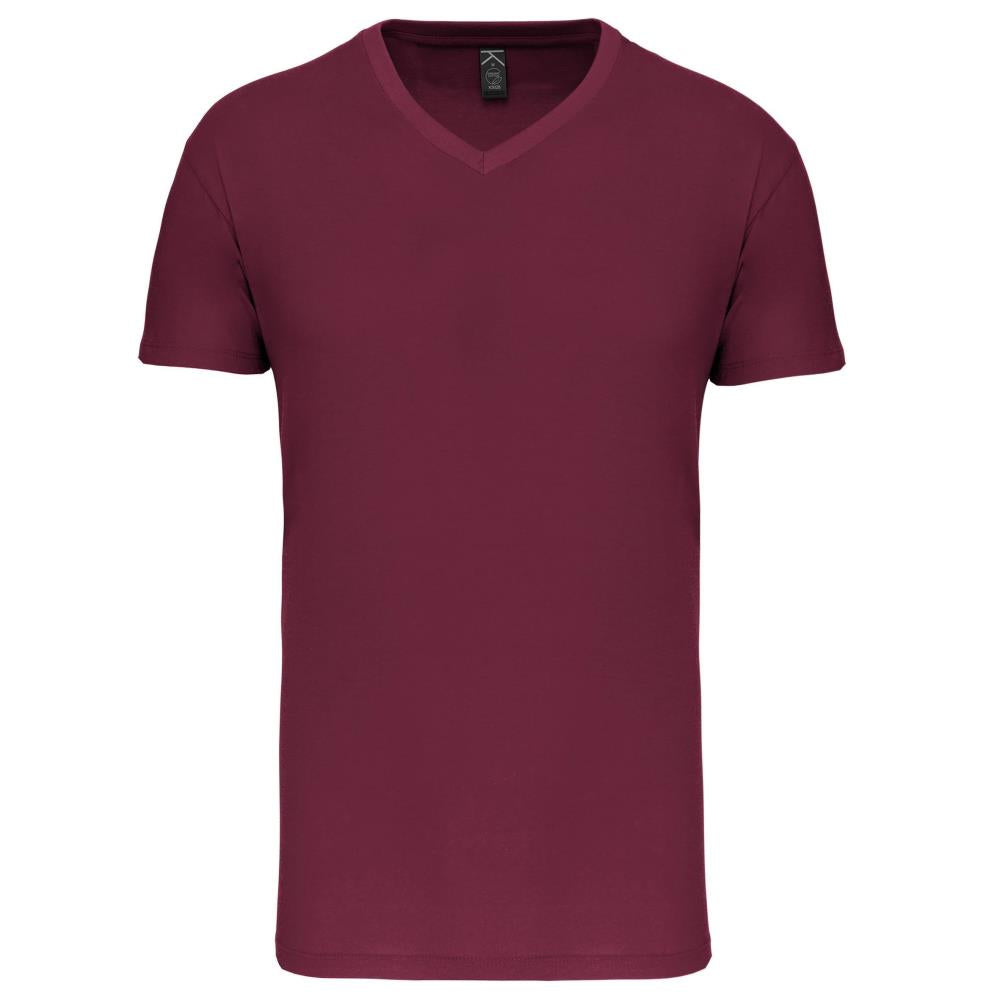 Heren-t-shirt BIO150 IC V-hals